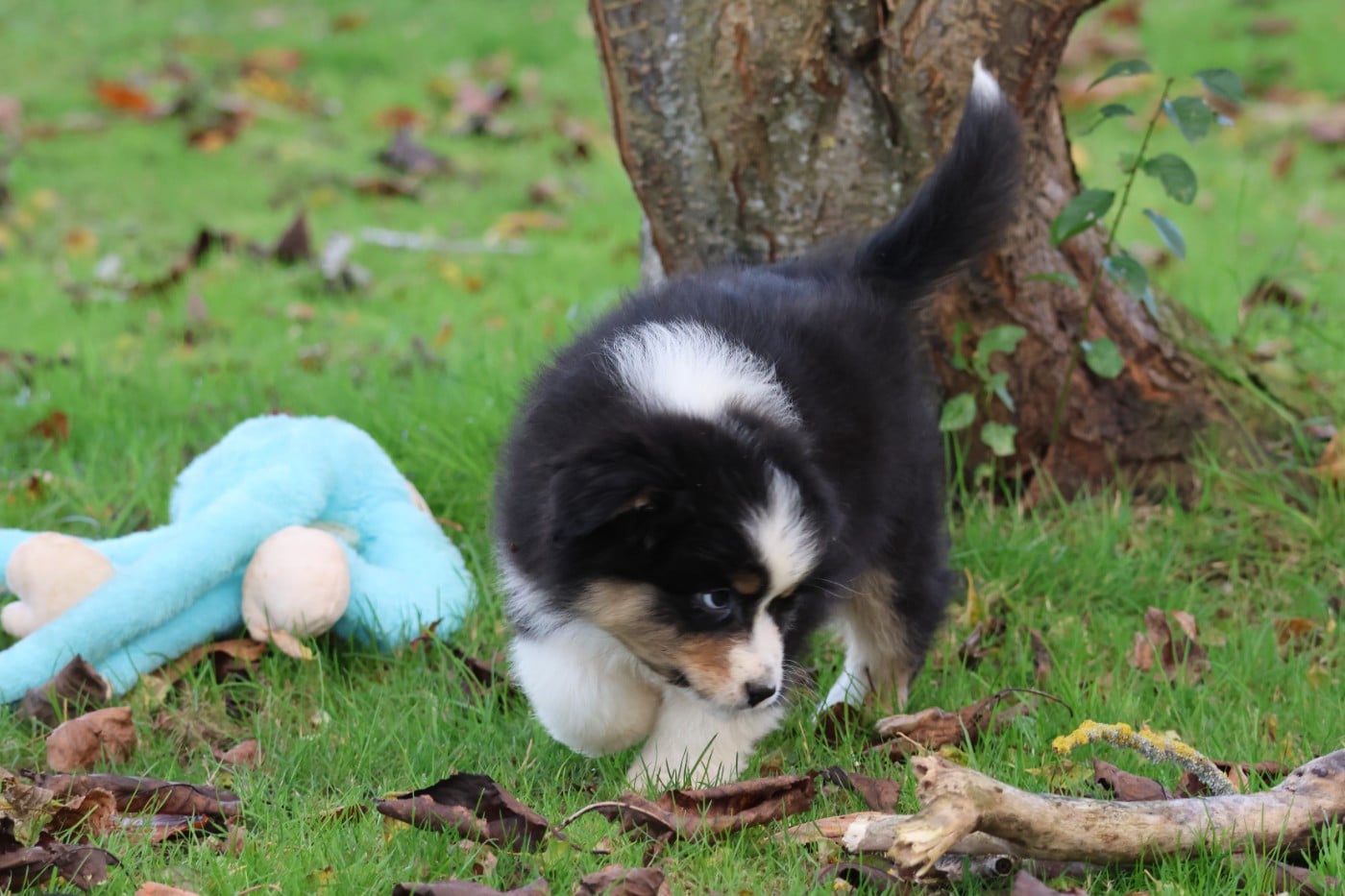 ANOTHER ONE BITE THE DUST ALTA