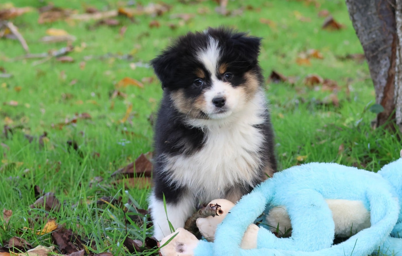 ANOTHER ONE BITE THE DUST ALTA