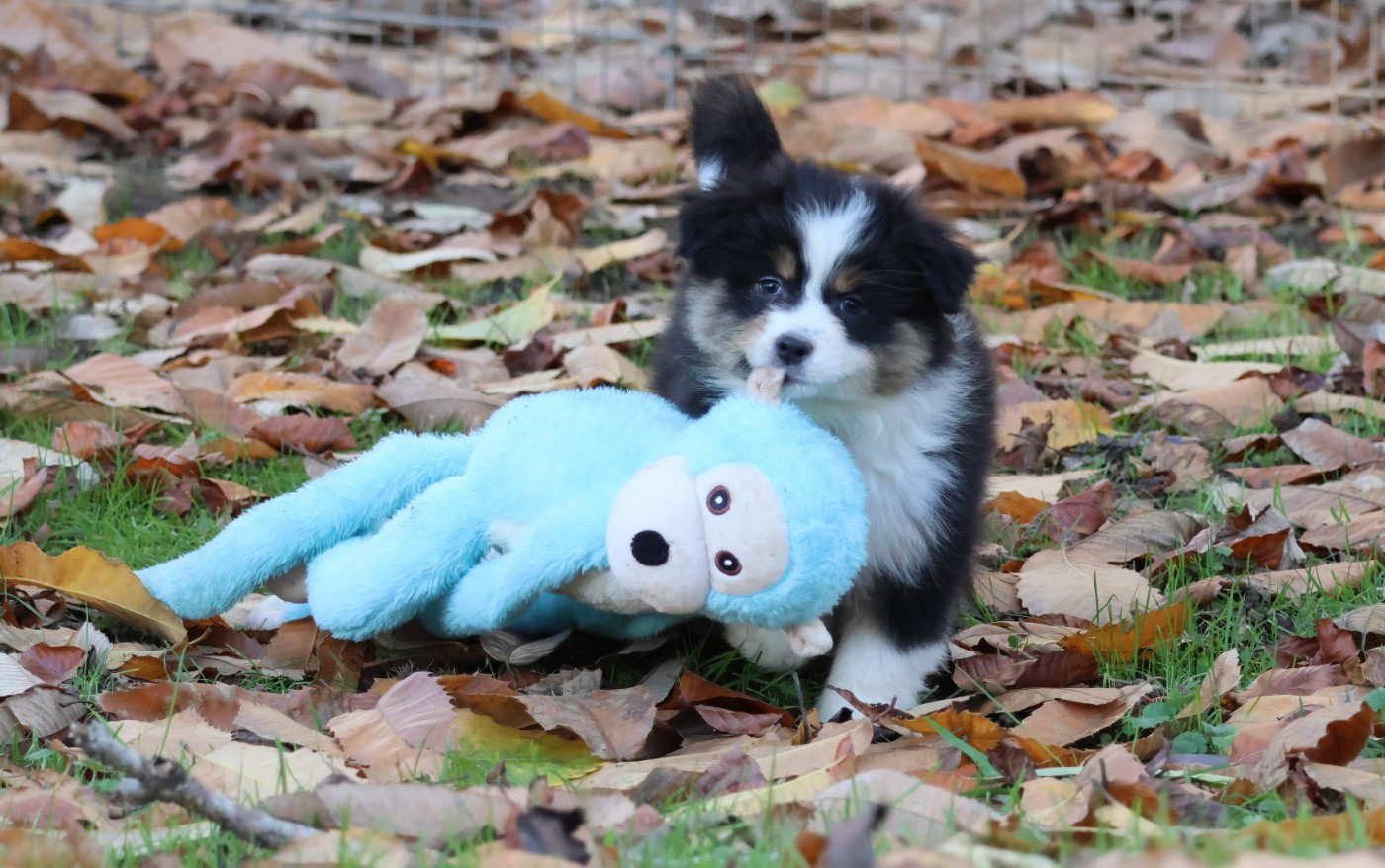 ANOTHER ONE BITE THE DUST ALTA