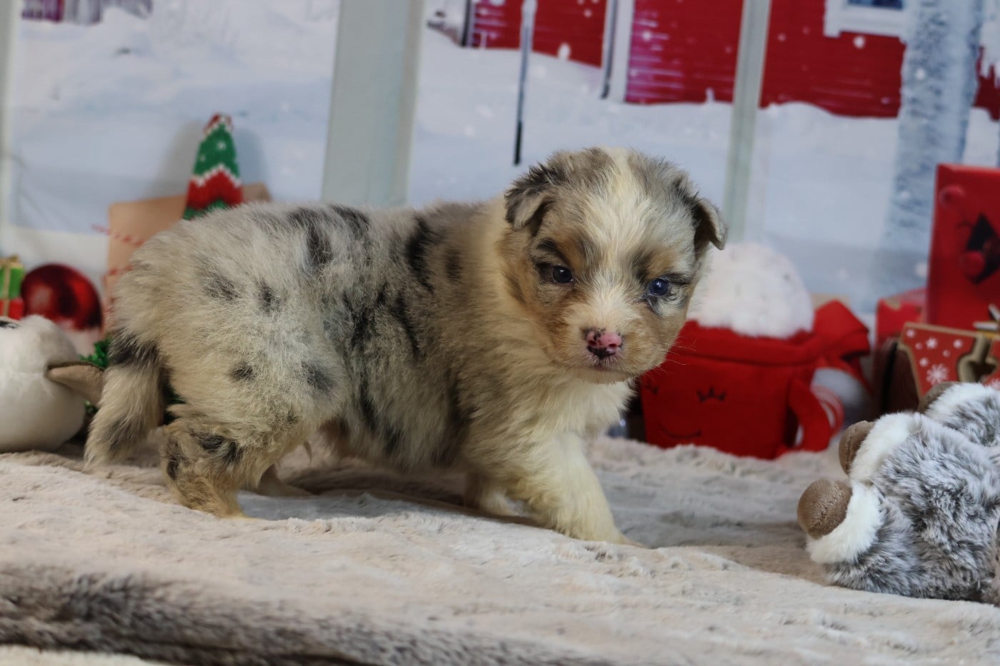 A KIND OF MAGIC JORIS