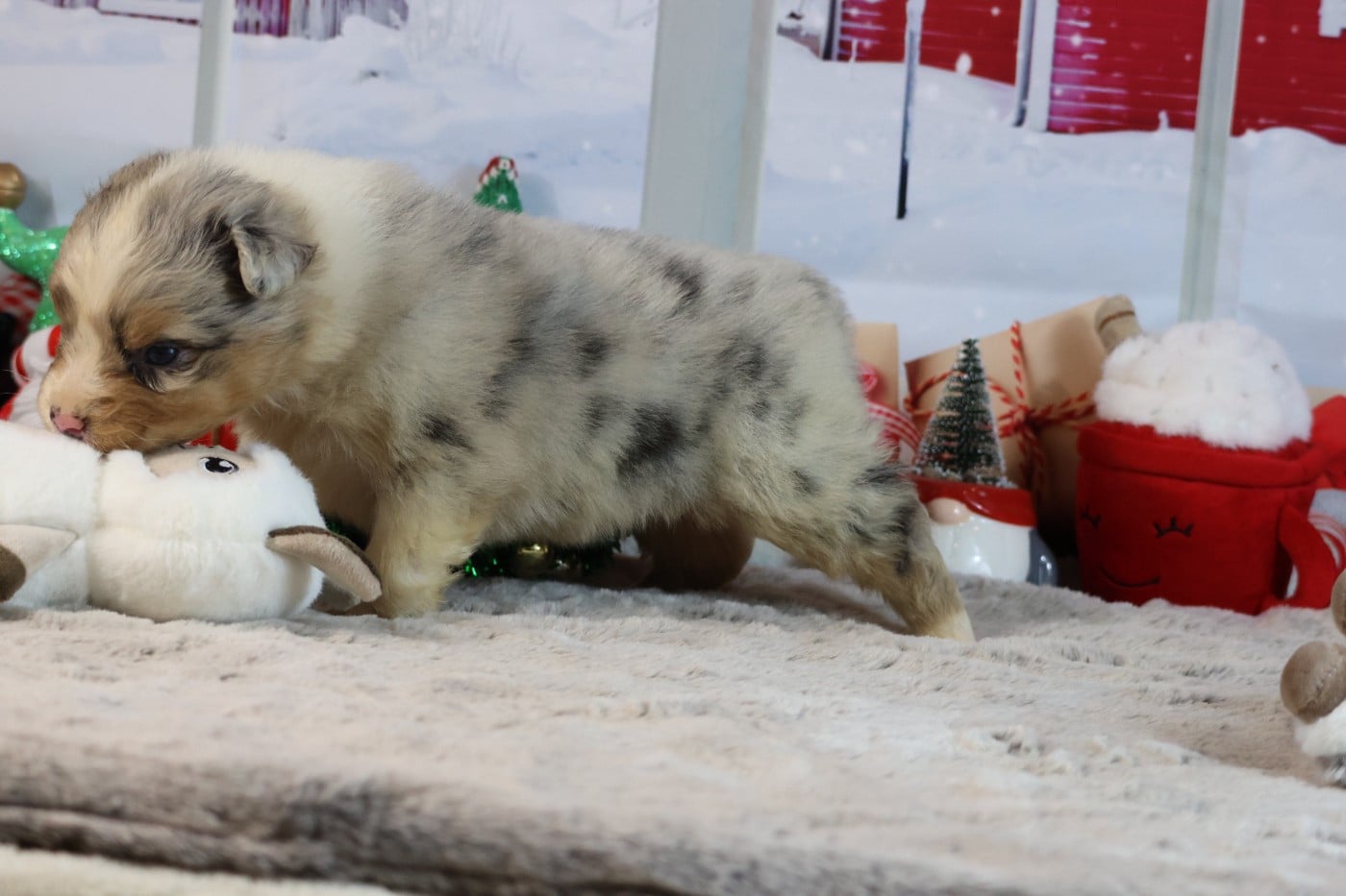 A KIND OF MAGIC JORIS