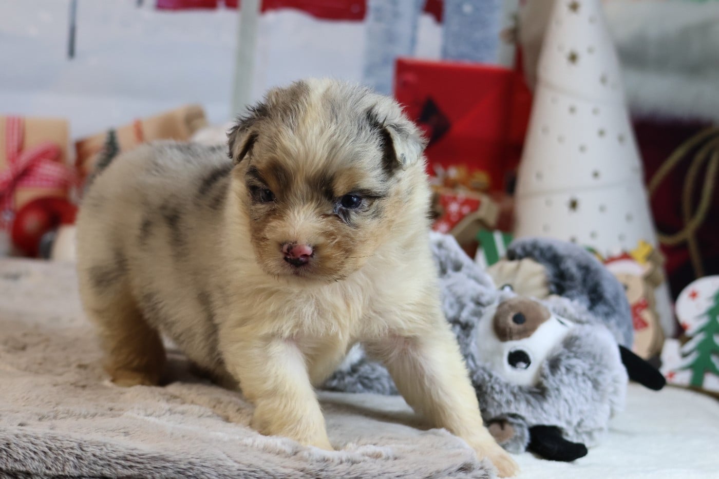 A KIND OF MAGIC JORIS