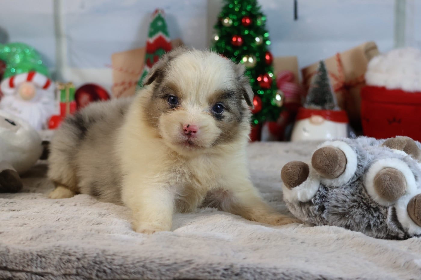 A KIND OF MAGIC ARES