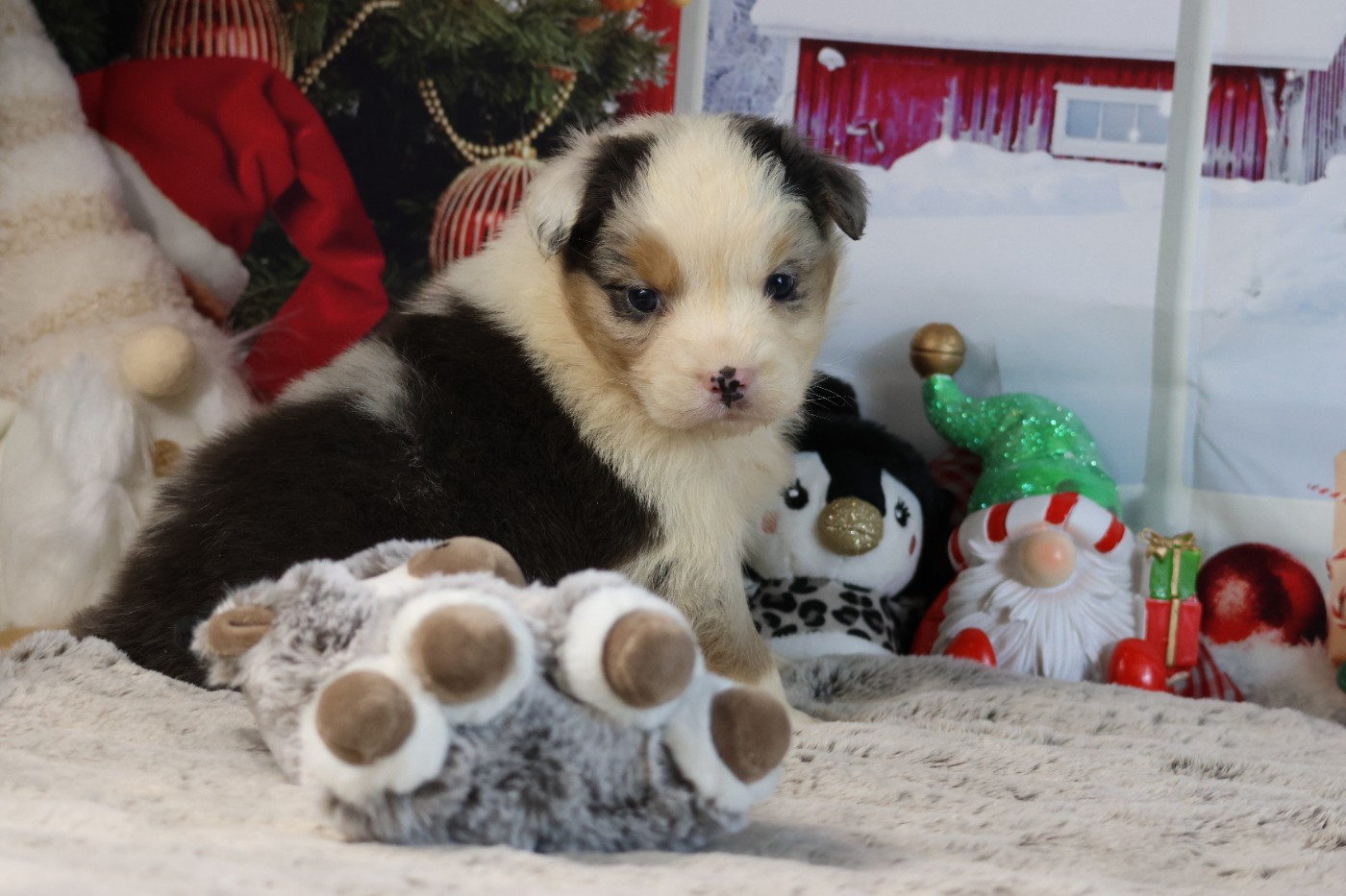 A KIND OF MAGIC COSY