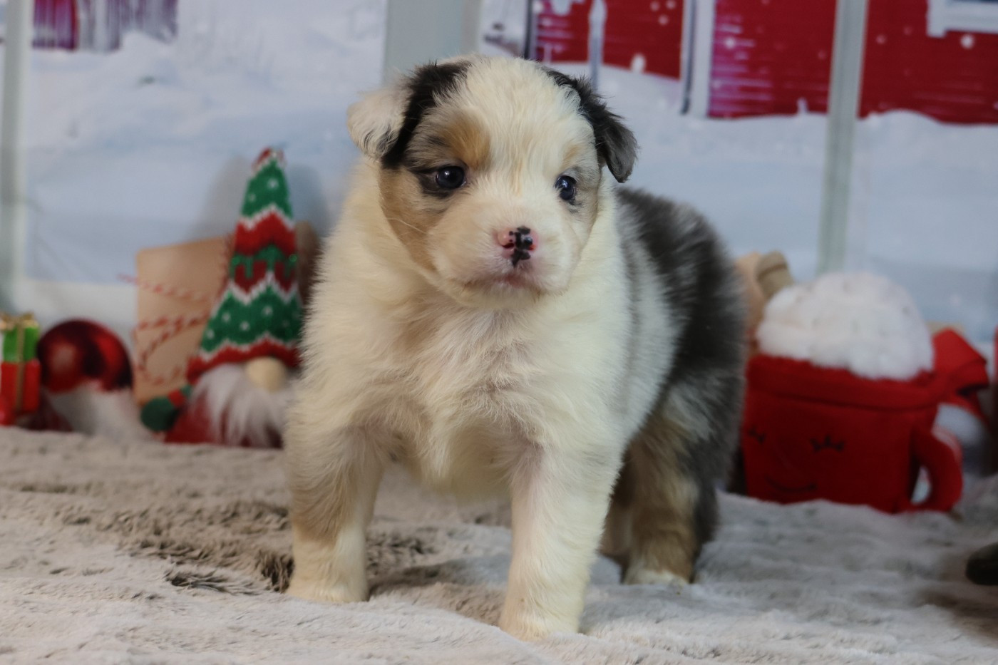 A KIND OF MAGIC COSY