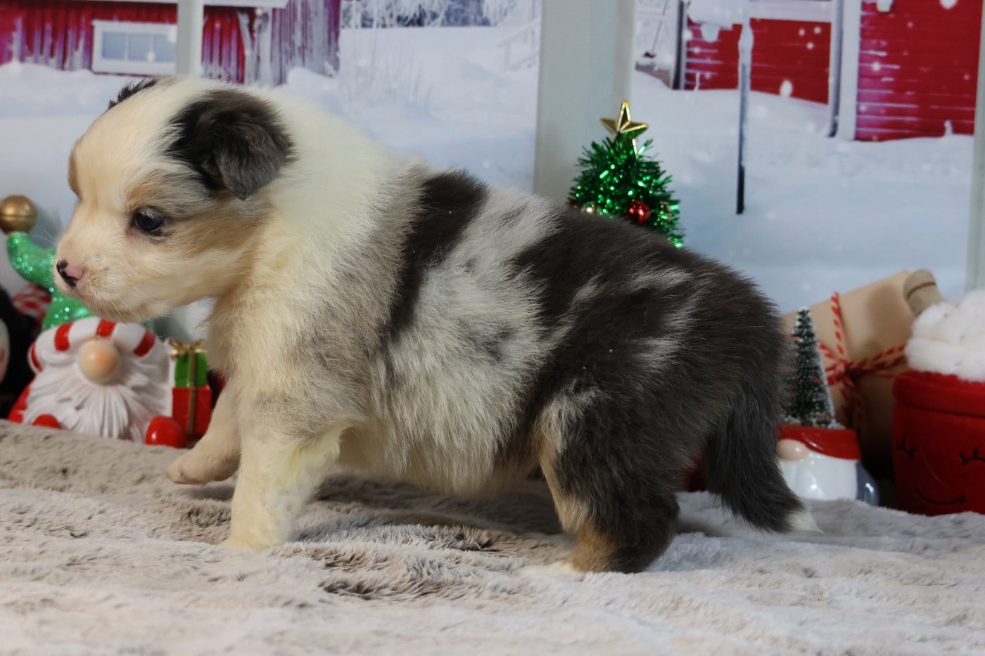 A KIND OF MAGIC COSY