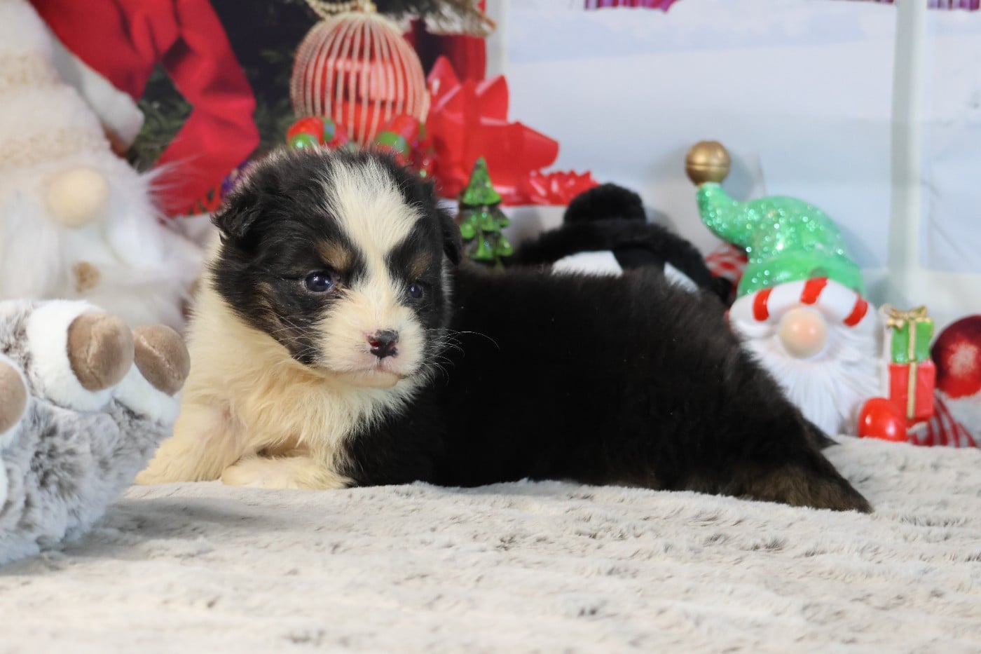 A KIND OF MAGIC NANNY