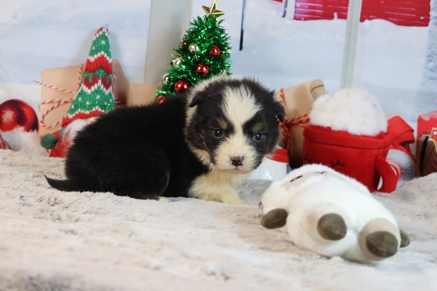 A KIND OF MAGIC NANNY