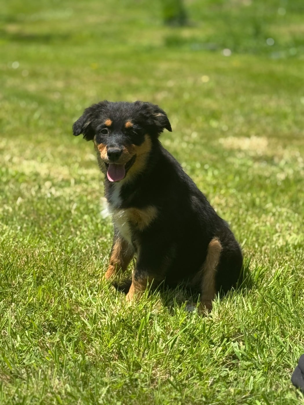 BABY RAIPONCE