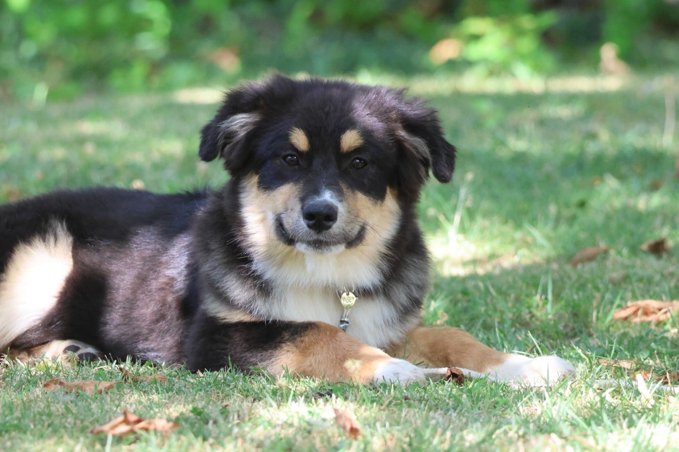 BABY MAUI