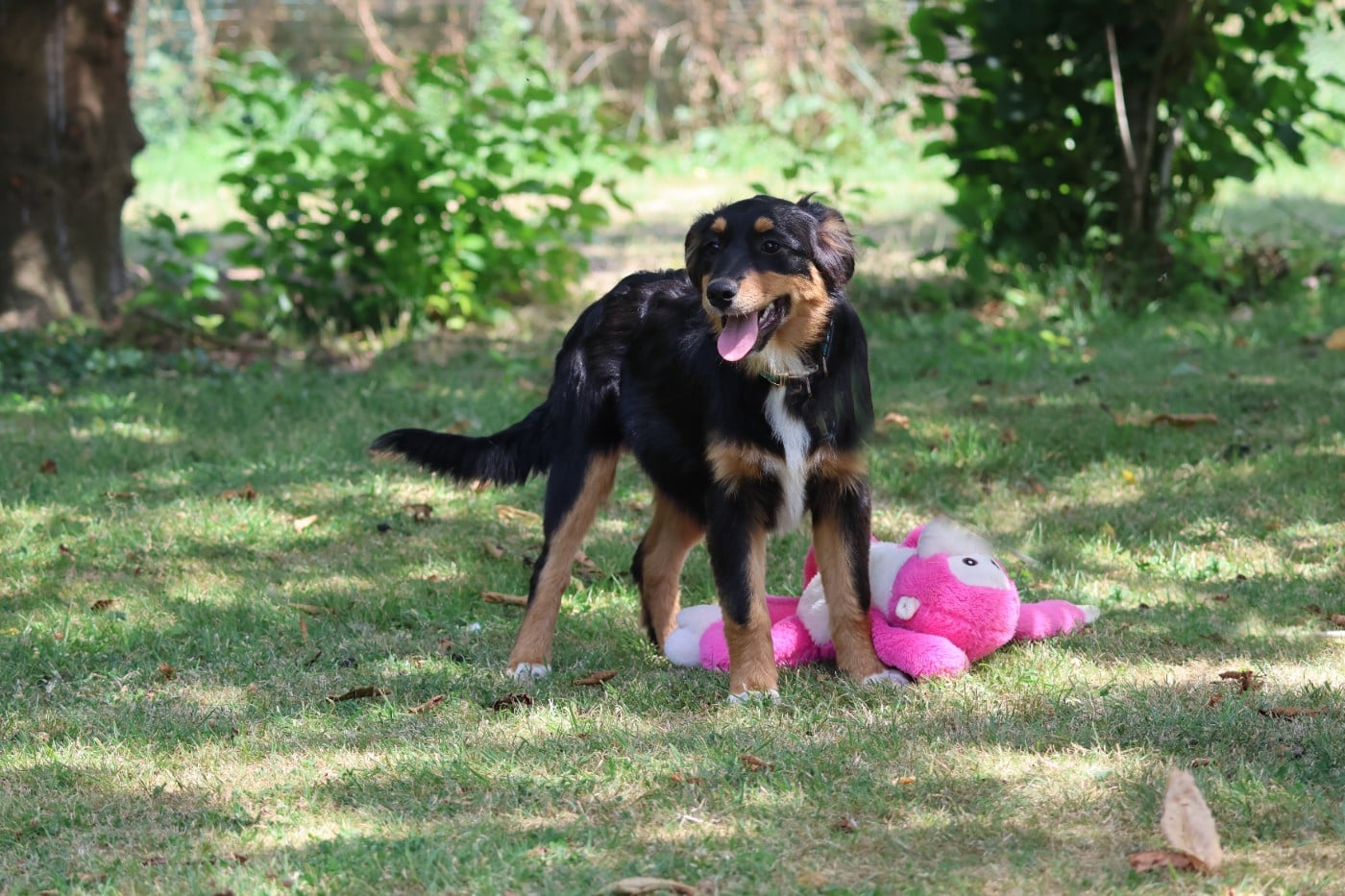 BABY RAIPONCE