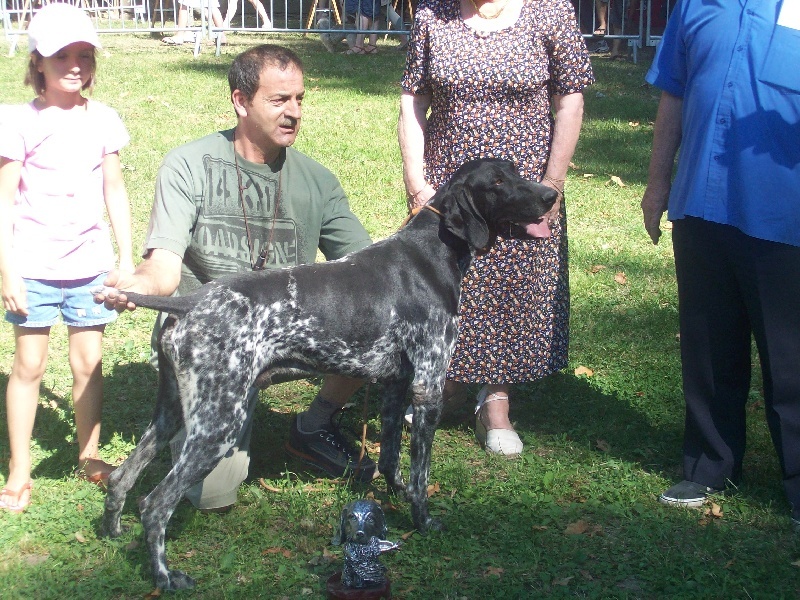 CH. Fiona (Sans Affixe)