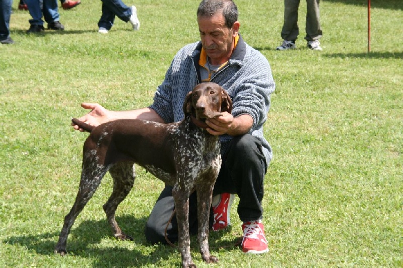 CH. Fiona (Sans Affixe)