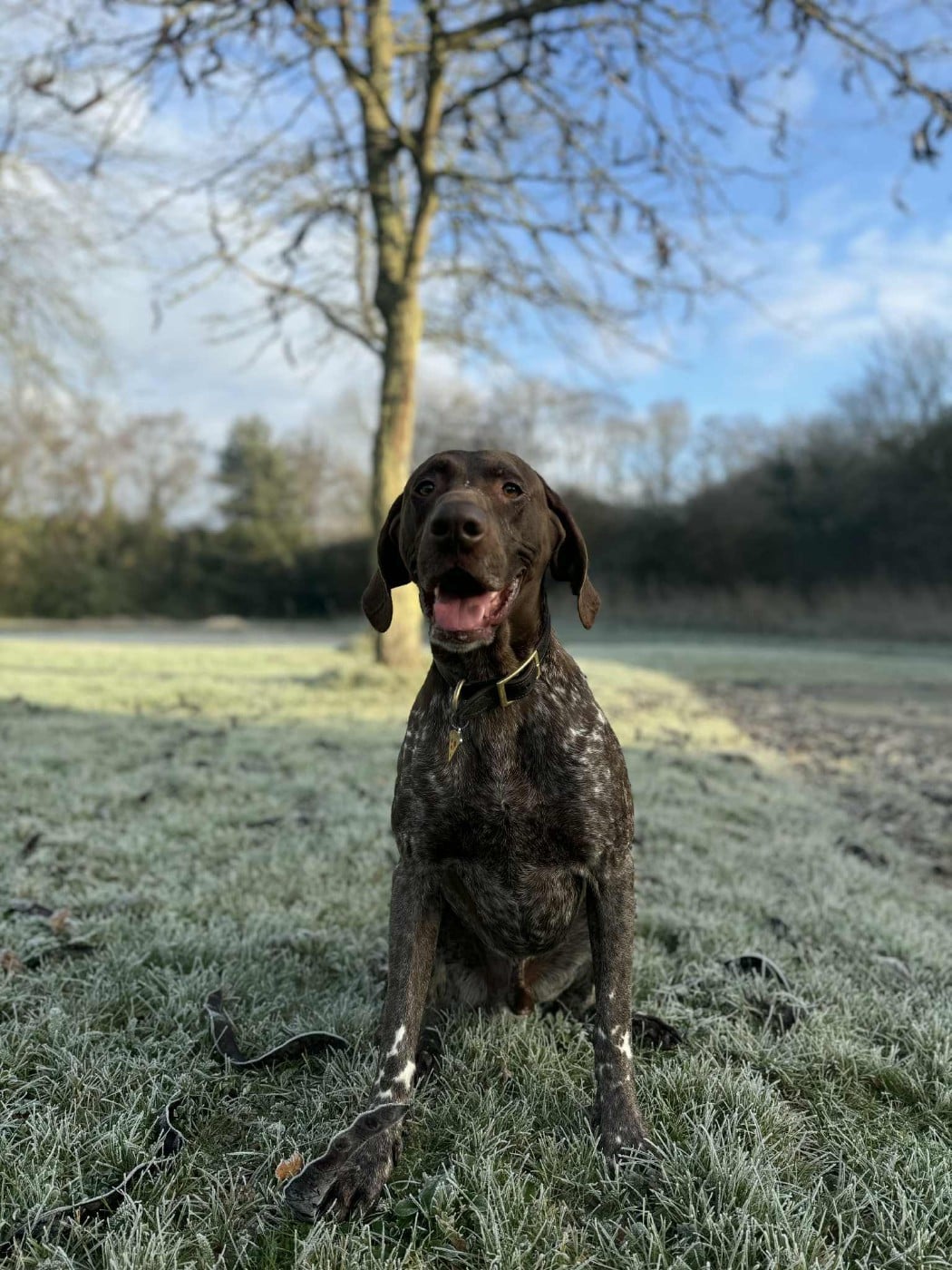 Lea du domaine du framire