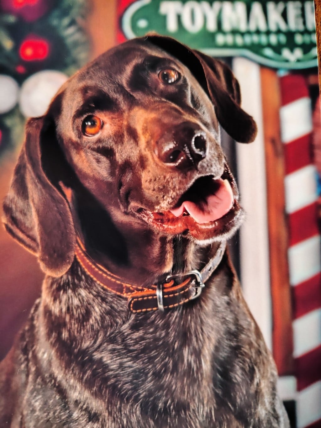 Lea du domaine du framire