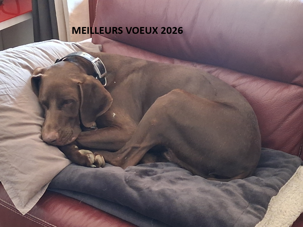 Mode du domaine du framire