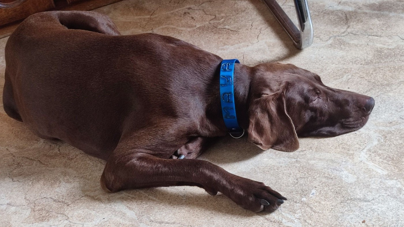 Evita du mas de l'arbre