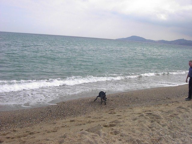 Erka des monts cevenoles