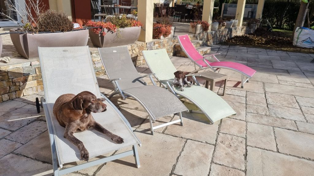 Erka des monts cevenoles