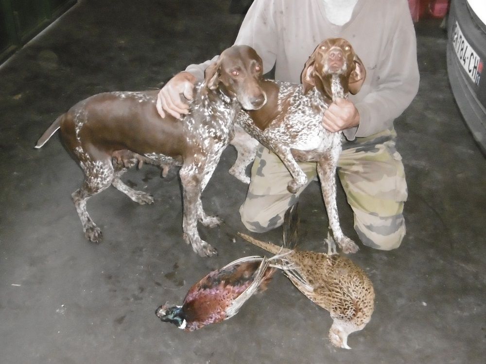 Publication : du domaine du framire Auteur : ARMANDO GONCALVES