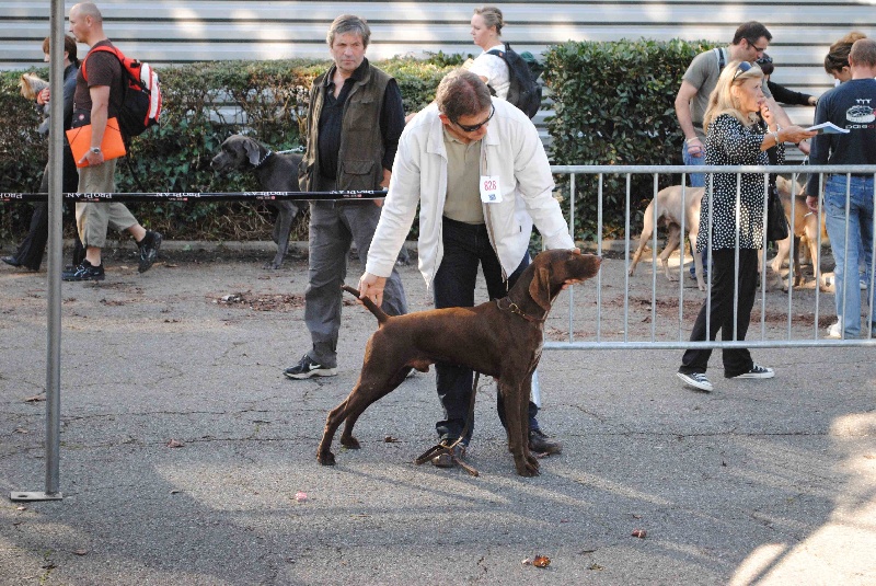 CH. Champion du domaine du framire