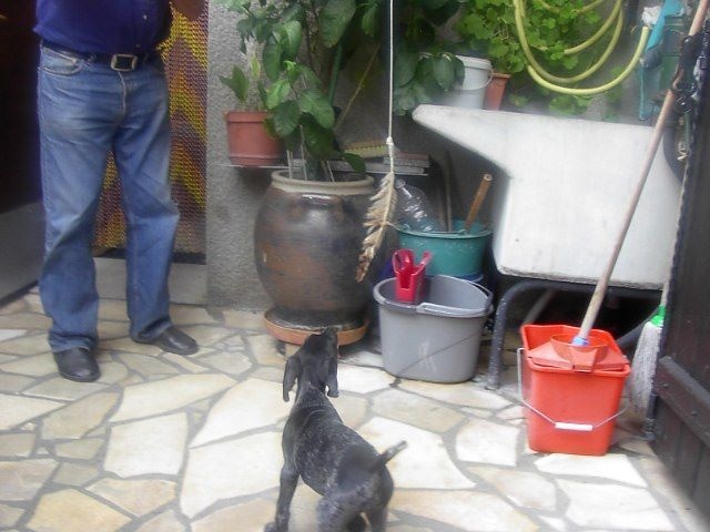 Erka des monts cevenoles