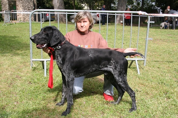 Erka des monts cevenoles