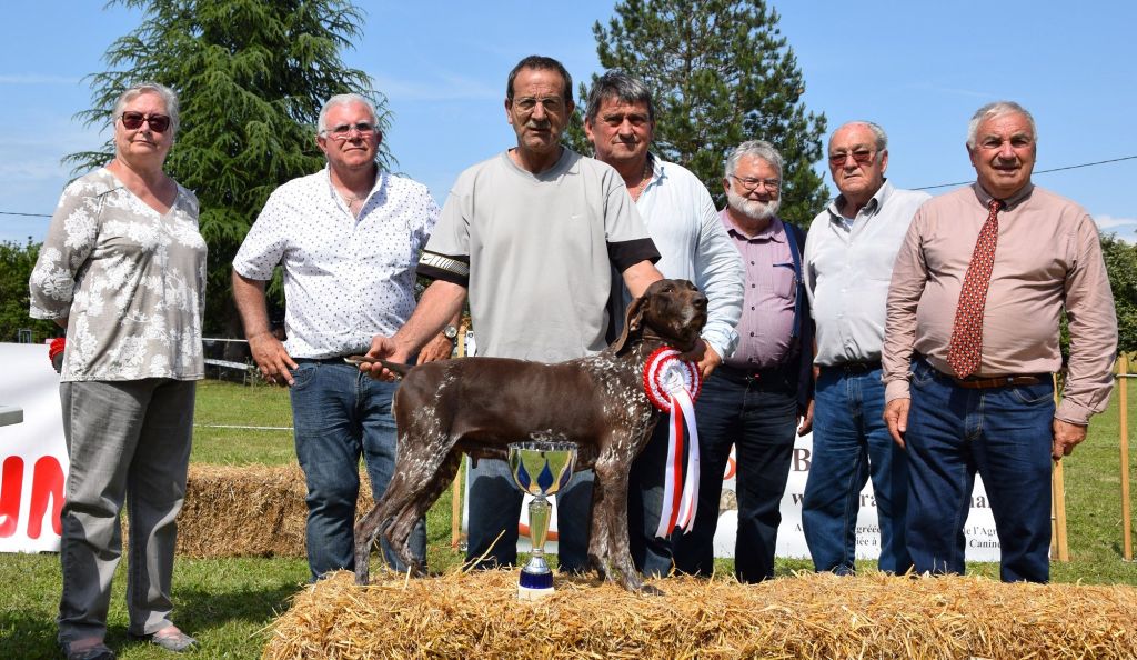 Publication : du domaine du framire Auteur : ARMANDO GONCALVES