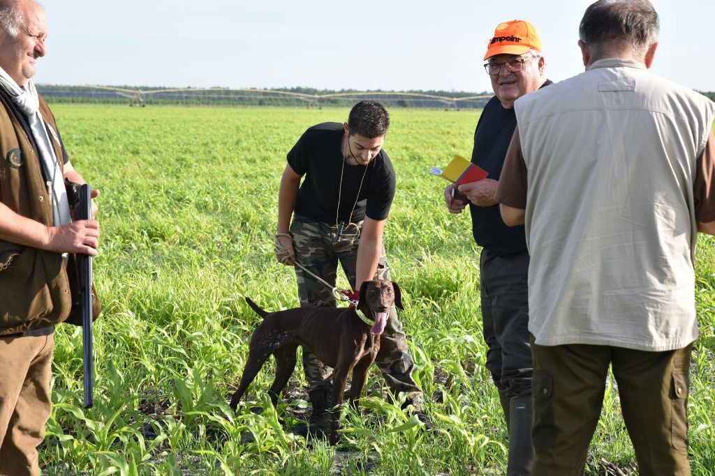 Publication : du domaine du framire Auteur : ARMANDO GONCALVES