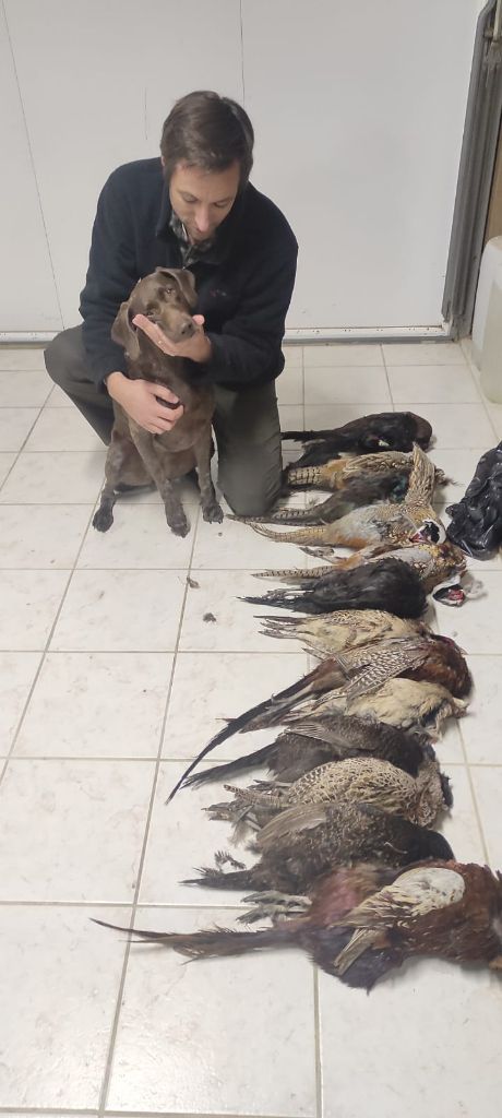 Publication : du domaine du framire Auteur : D'ANGELO RINALDO