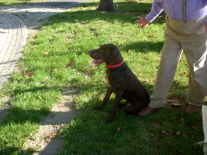 CH. Fiona (Sans Affixe)