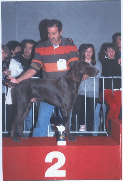 CH. Champion du domaine du framire