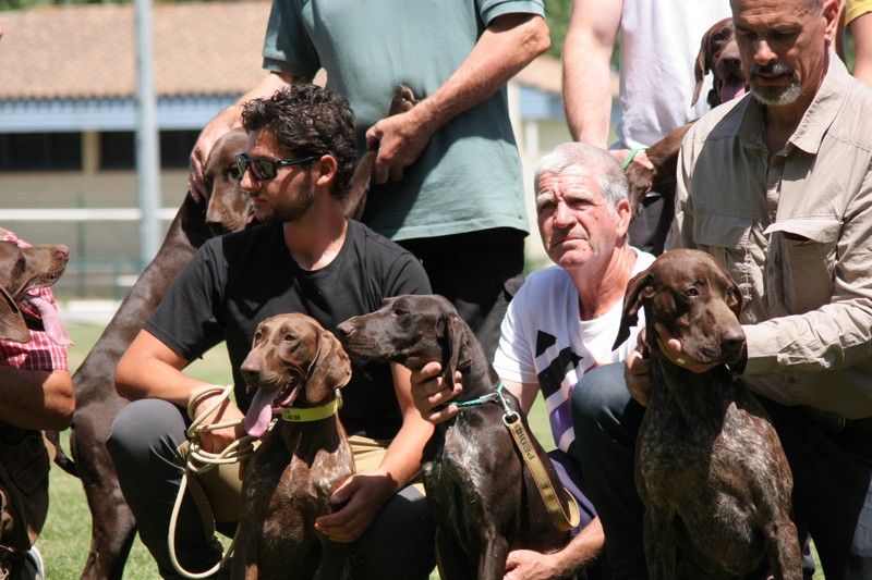 Publication : du domaine du framire Auteur : ARMANDO GONCALVES