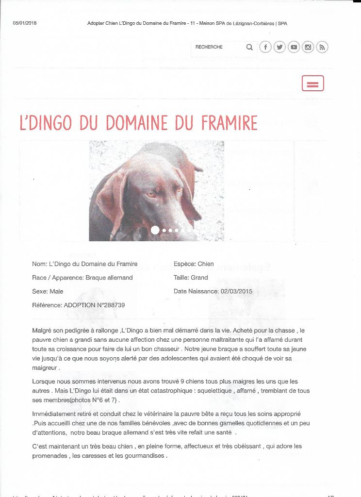 CH. Fiona (Sans Affixe)