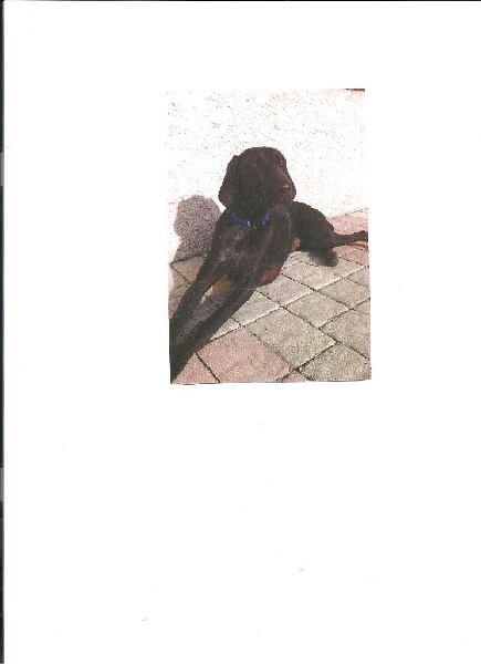 CH. Champion du domaine du framire