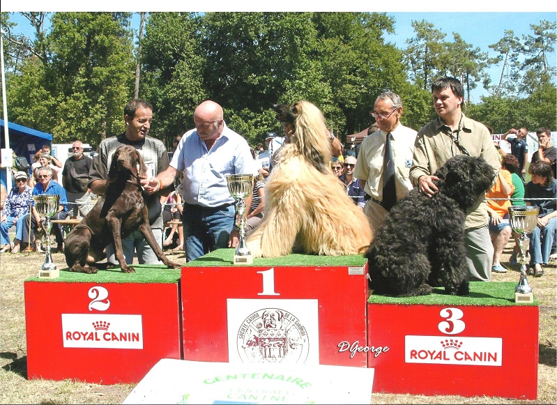 CH. Champion du domaine du framire