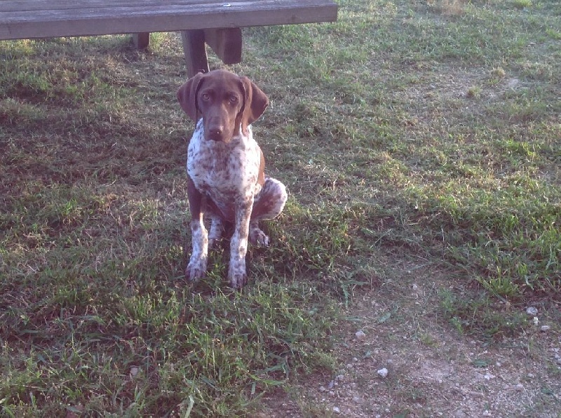 CH. Fiona (Sans Affixe)