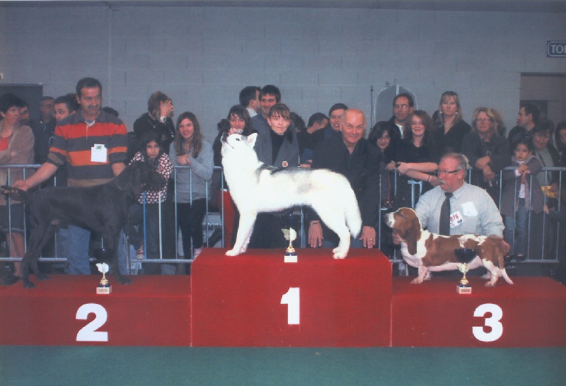 CH. Champion du domaine du framire