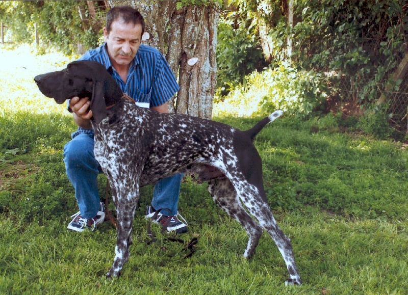 CH. Fiona (Sans Affixe)