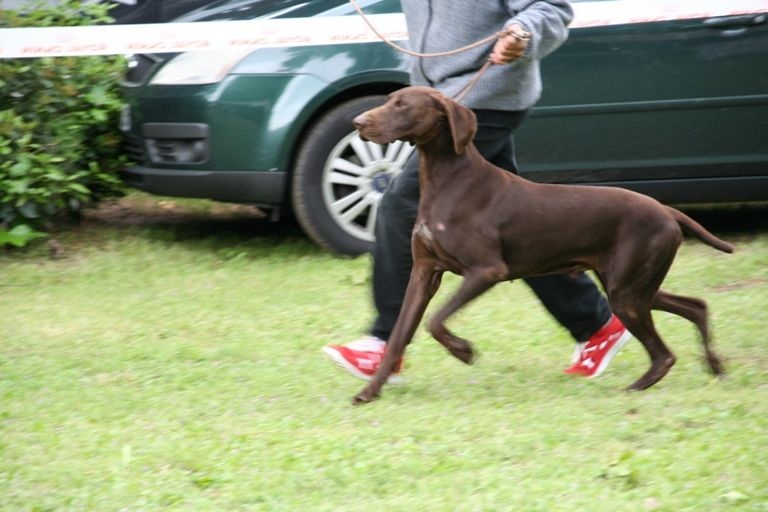 CH. Champion du domaine du framire