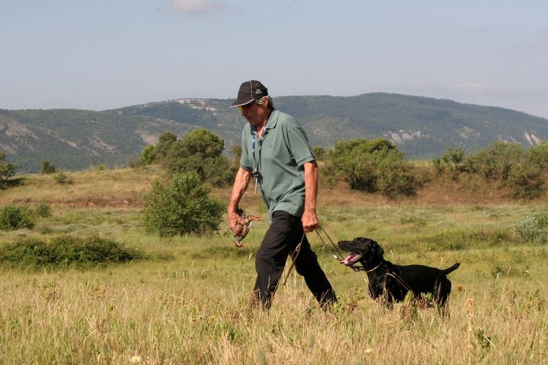 Erka des monts cevenoles