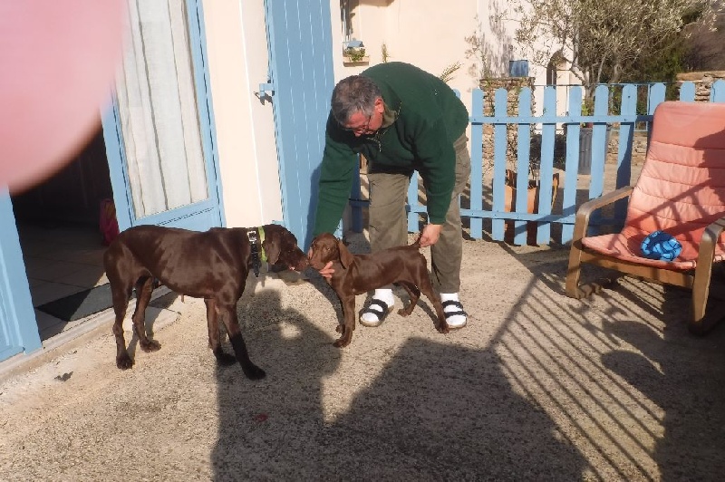 CH. Fiona (Sans Affixe)