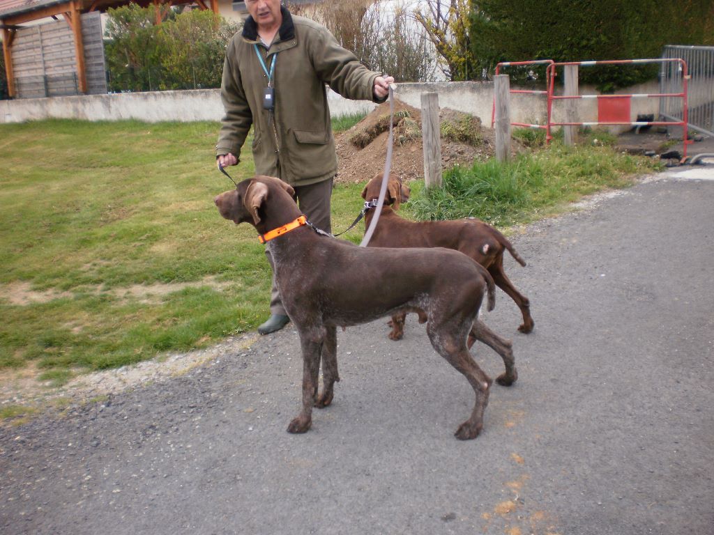 Erka des monts cevenoles