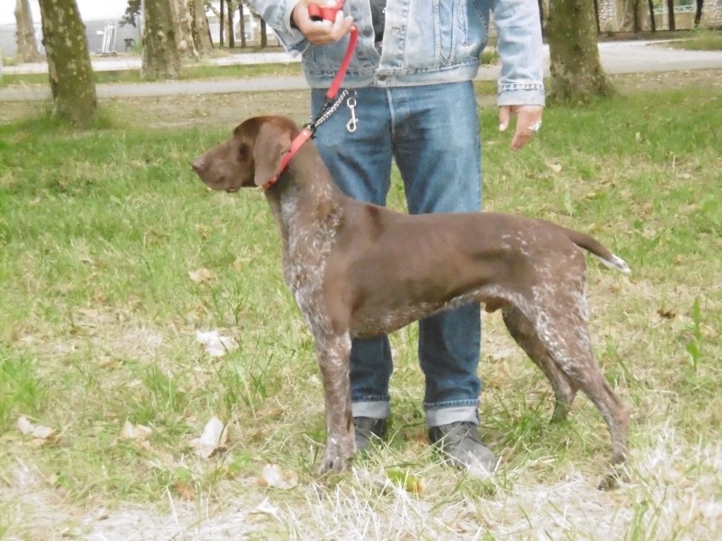 CH. Fiona (Sans Affixe)