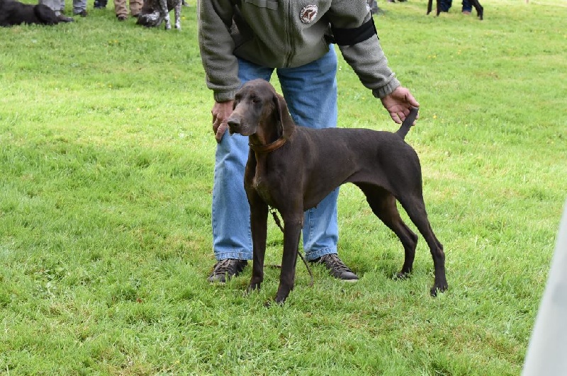 Ida du domaine du framire