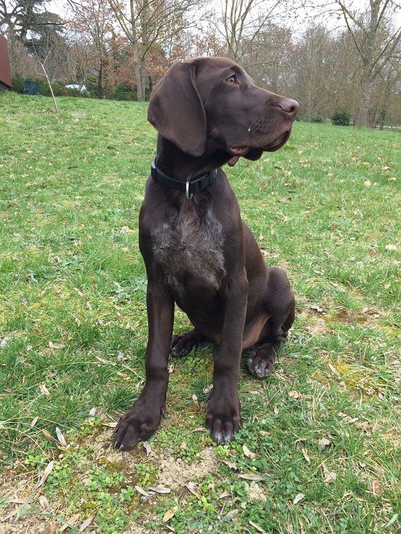 Ida du domaine du framire