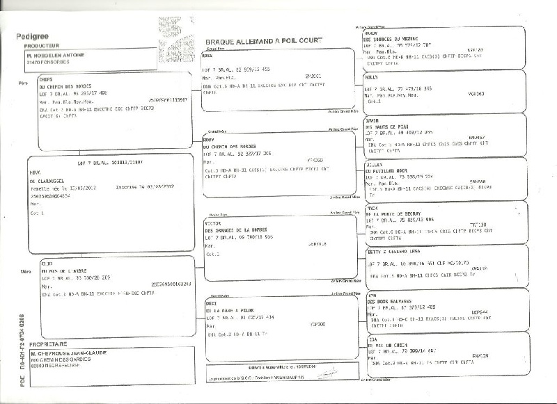 CH. Champion du domaine du framire