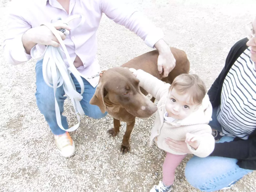 Publication : du domaine du framire Auteur : ARMANDO GONCALVES