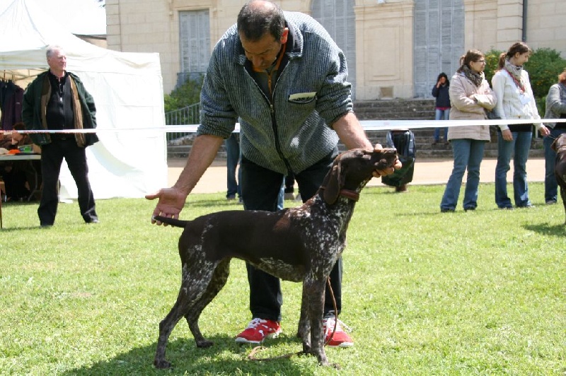 CH. Fiona (Sans Affixe)