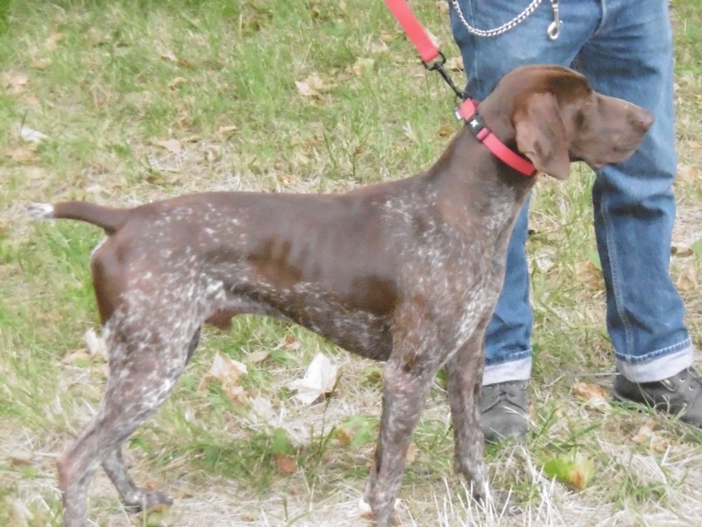 CH. Fiona (Sans Affixe)